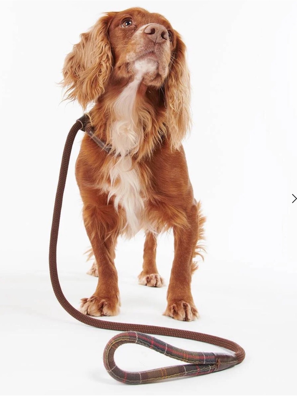 Barbour Tartan Trimmed Slip Lead and Poop Bag Holder
